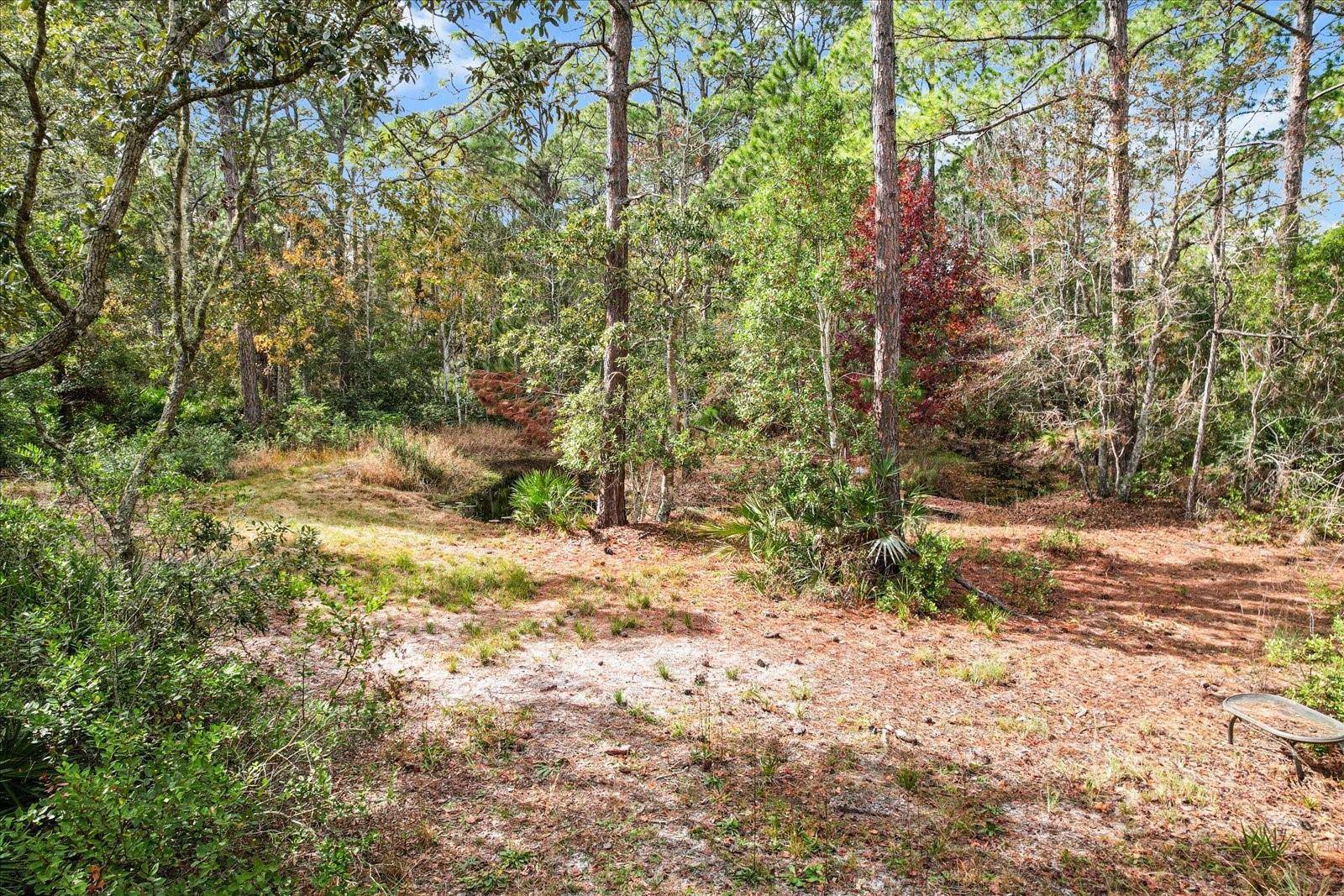 Homosassa, FL 34448,5408 S BENTON TER