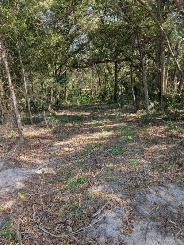 0 SE 176TH PL, Weirsdale, FL 32195
