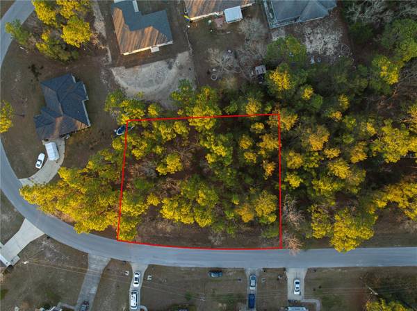 TBD BAHIA TRACE LOOP, Ocala, FL 34472