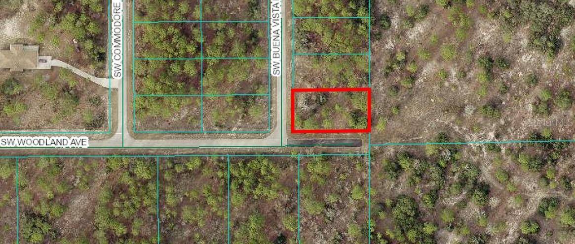 00 SW BUENA VISTA RD, Dunnellon, FL 34431