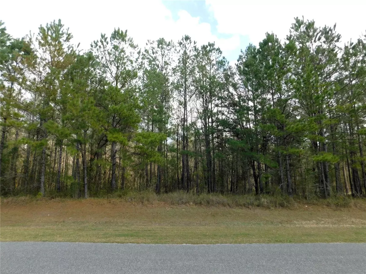 Williston, FL 32696,Lot 4 NW 145 AVE