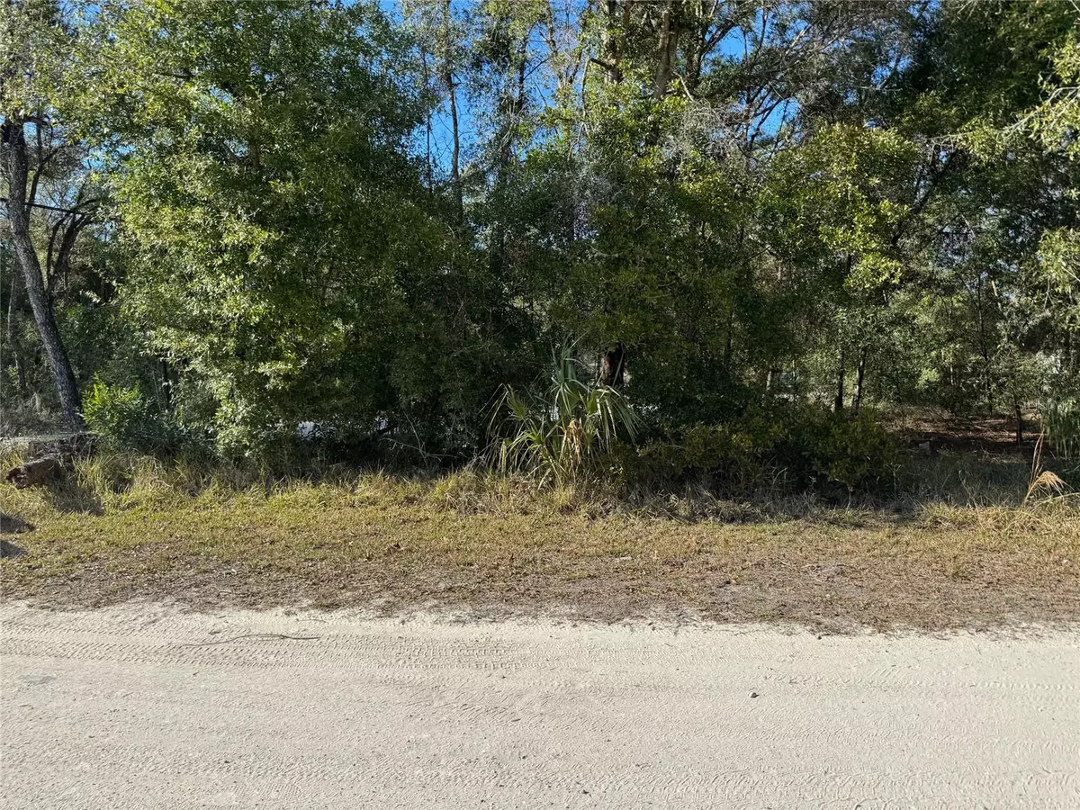 Dunnellon, FL 34432,Lot 347 ST. GEORGE DR