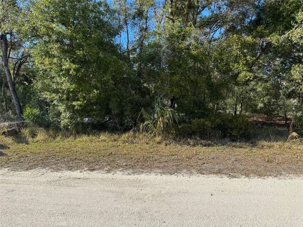 Lot 347 ST. GEORGE DR, Dunnellon, FL 34432