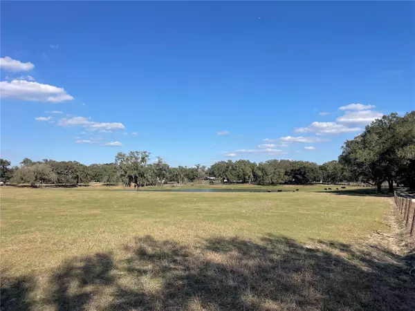 Weirsdale, FL 32195,TBD SE 155 AVE