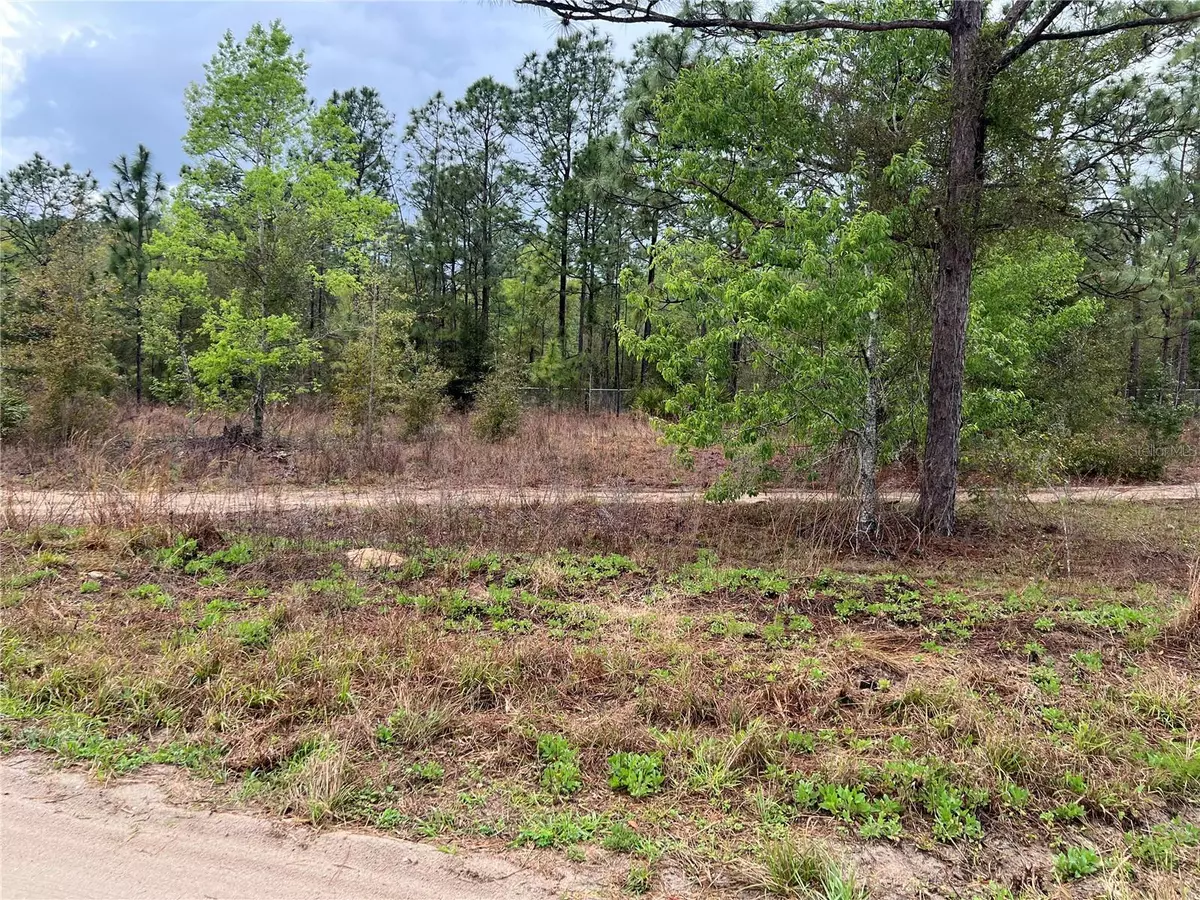 Ocala, FL 34481,SW 152ND COURT