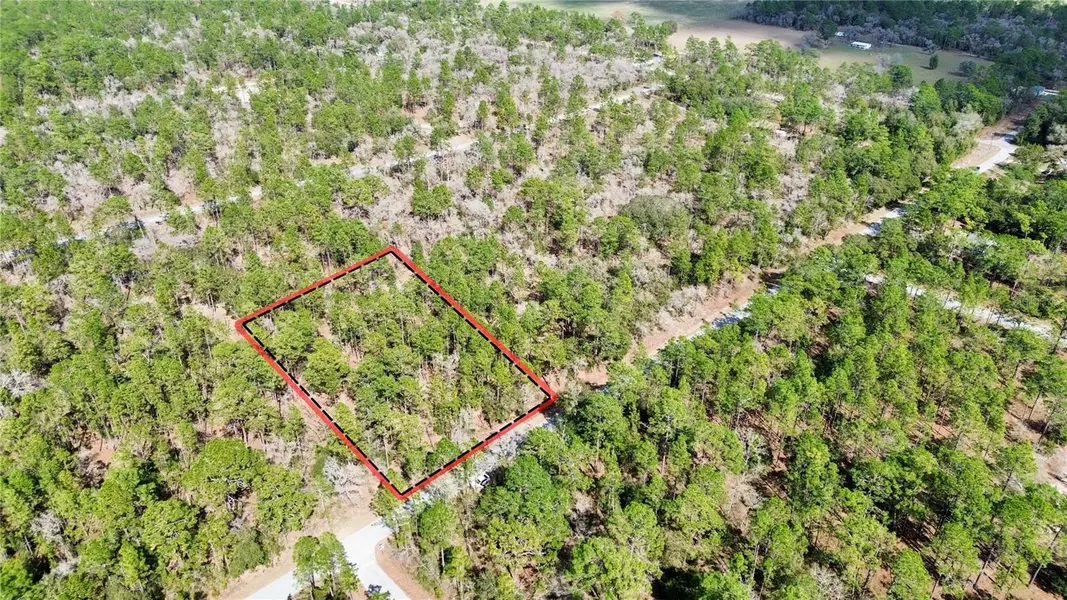 TBD NW FALCON AVENUE, Dunnellon, FL 34431