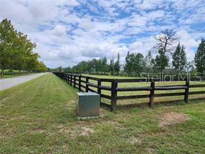 Summerfield, FL 34491,5360 SE 159TH PARCEL #33 LN