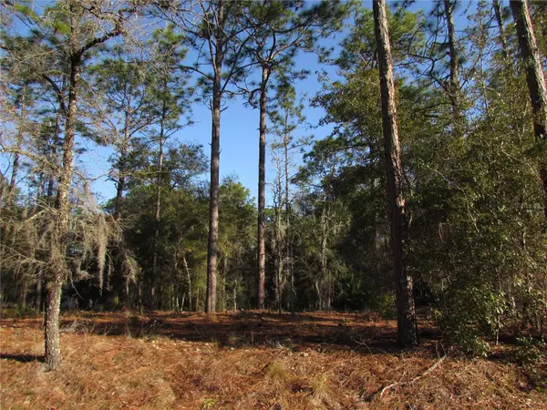 Dunnellon, FL 34432,Lot 12 SW 68 LOOP