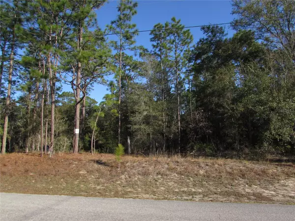 Dunnellon, FL 34432,Lot 12 SW 68 LOOP