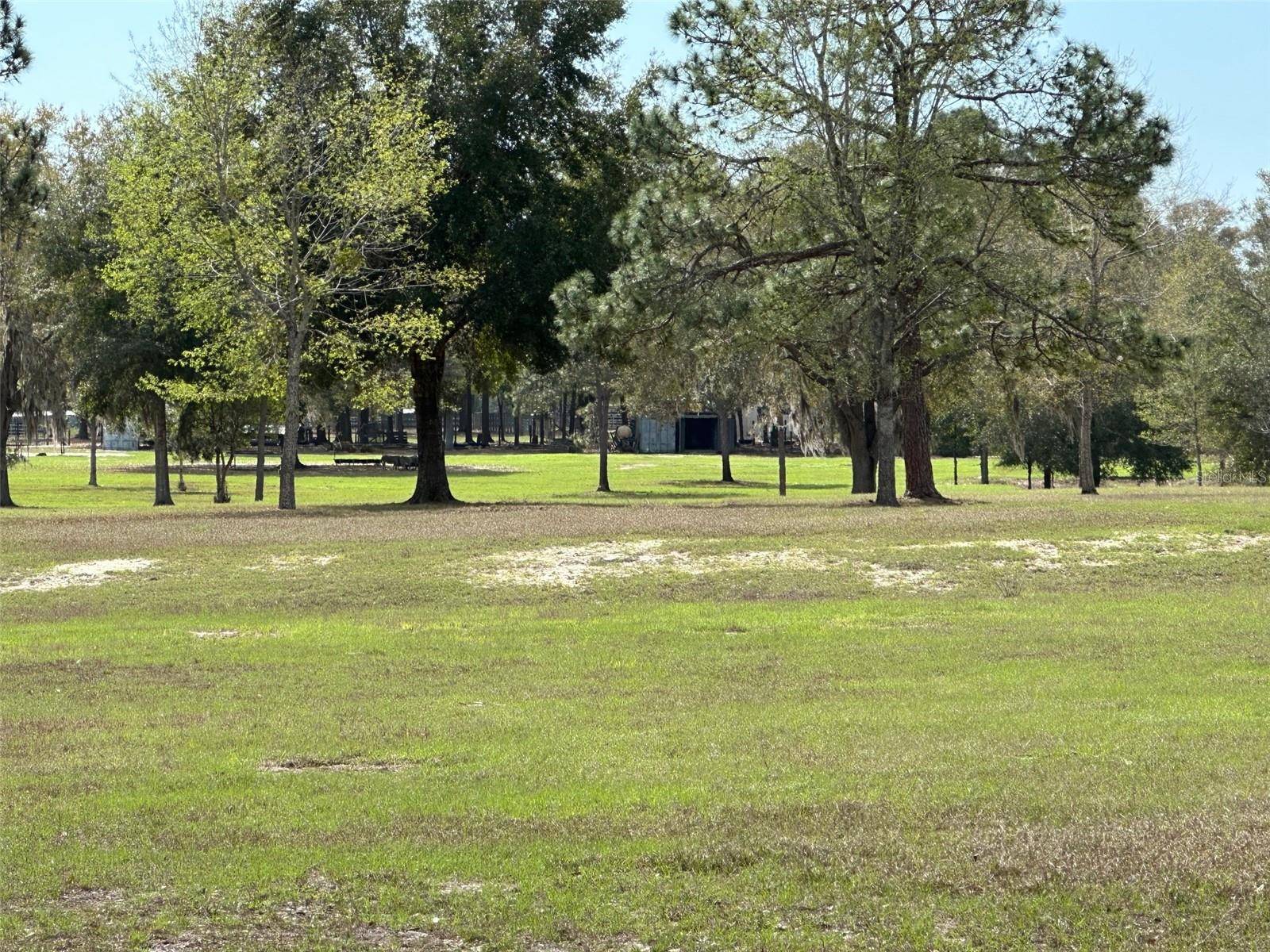 7830 NW 10TH ST, Ocala, FL 34482