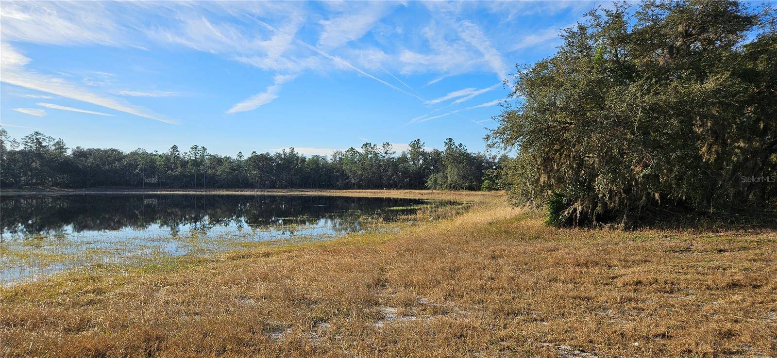 Citra, FL 32113,Lot 1 - 10.05ac E HWY 318