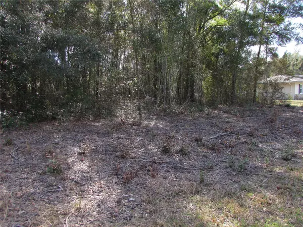 Dunnellon, FL 34431,Lot 24 SW STARLING DR