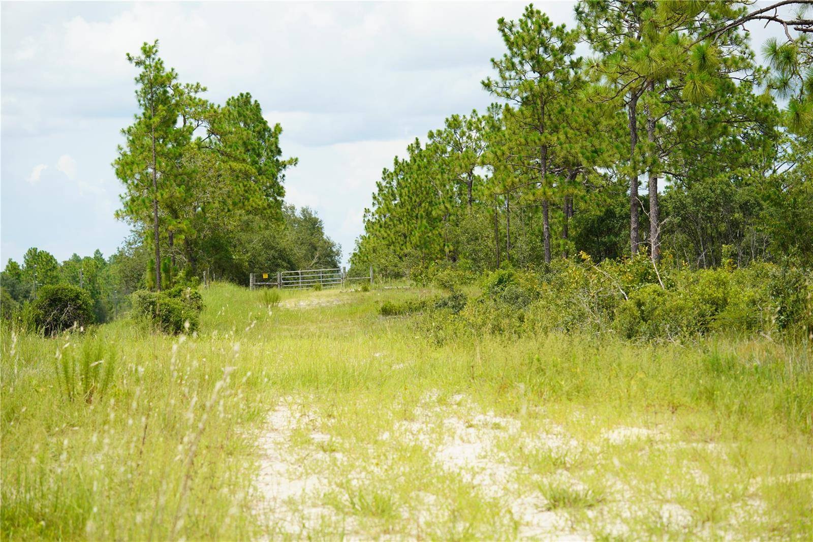 Morriston, FL 32668,SE STATE ROAD 121 LOT C