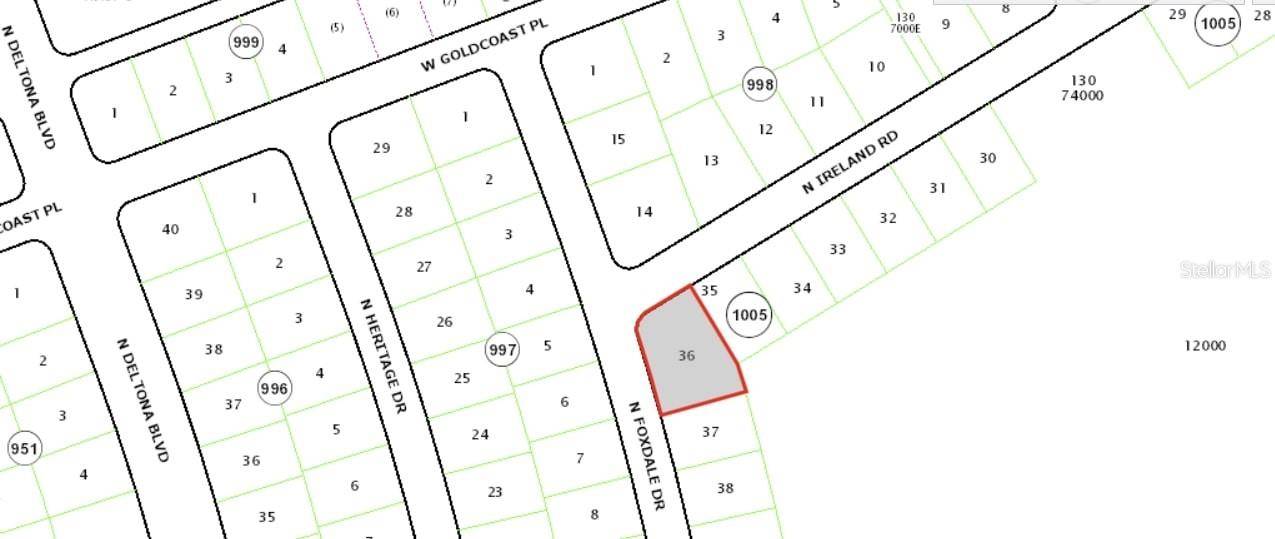 7145 N IRELAND DR, Citrus Springs, FL 34434