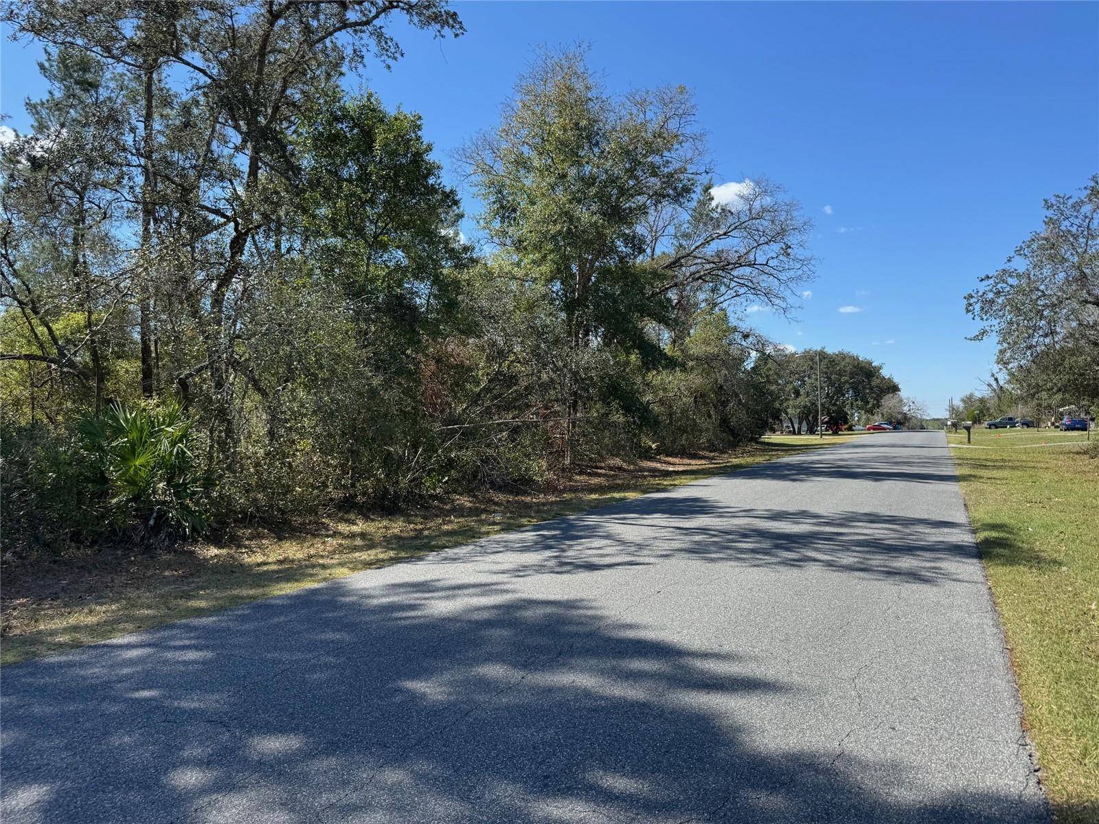Ocala, FL 34473,Lot 14 SW 139TH STREET ROAD