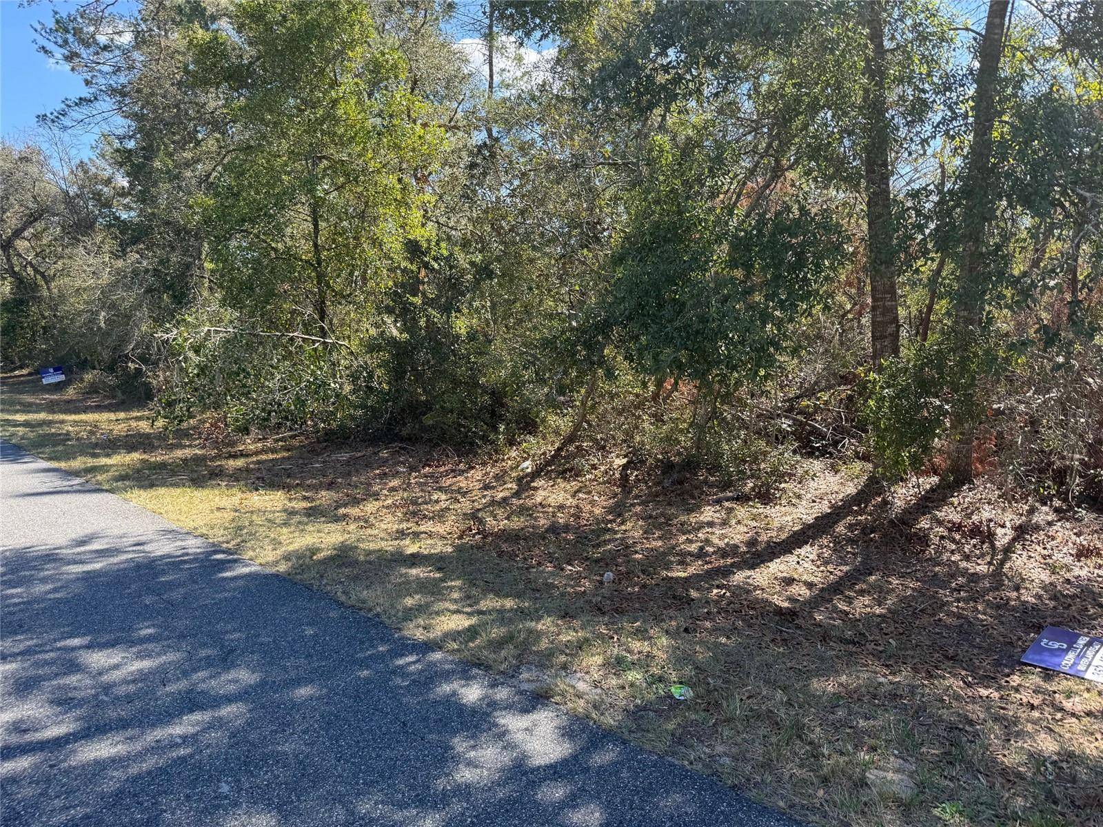 Ocala, FL 34473,Lot 15 SW 139TH STREET ROAD