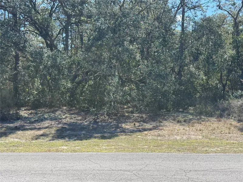 Lot 6 SW 146TH LANE ROAD, Ocala, FL 34473