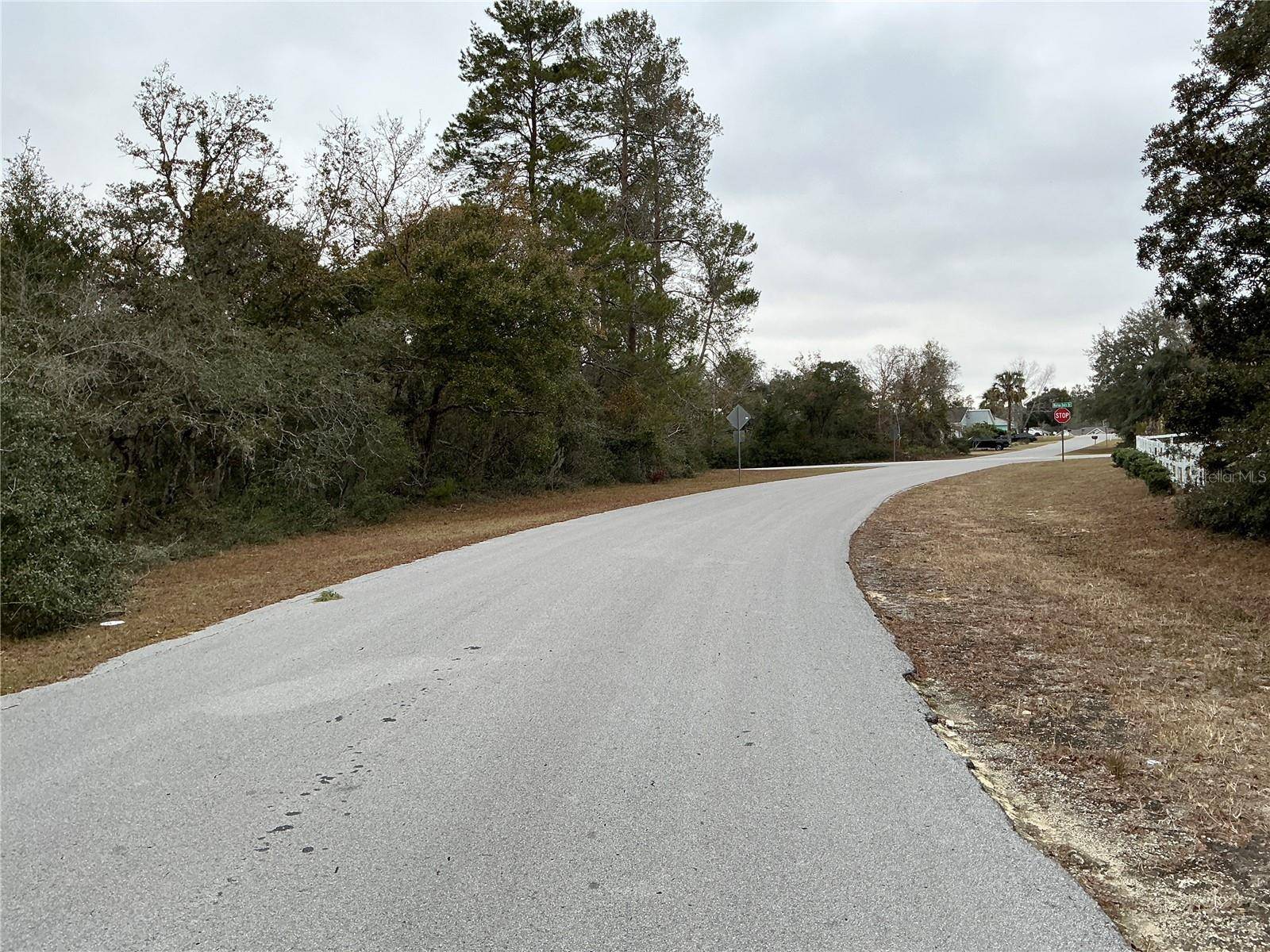 Ocala, FL 34473,00 SW 137TH LOOP