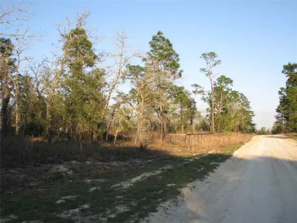 Ocala, FL 34481,Lot 18 SW 62ND ST