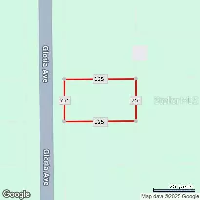 1006 GLORIA AVE, Interlachen, FL 32148