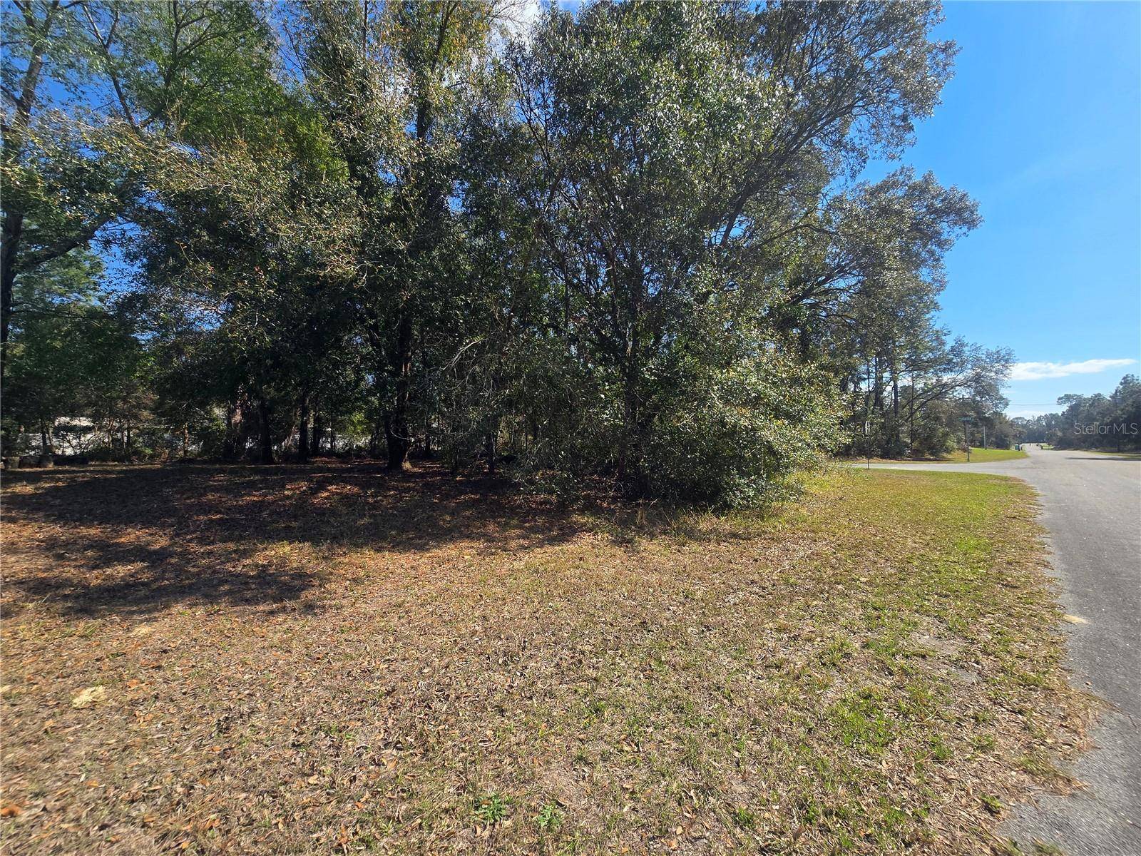 Citrus Springs, FL 34433,8467 N EMPIRE AVE