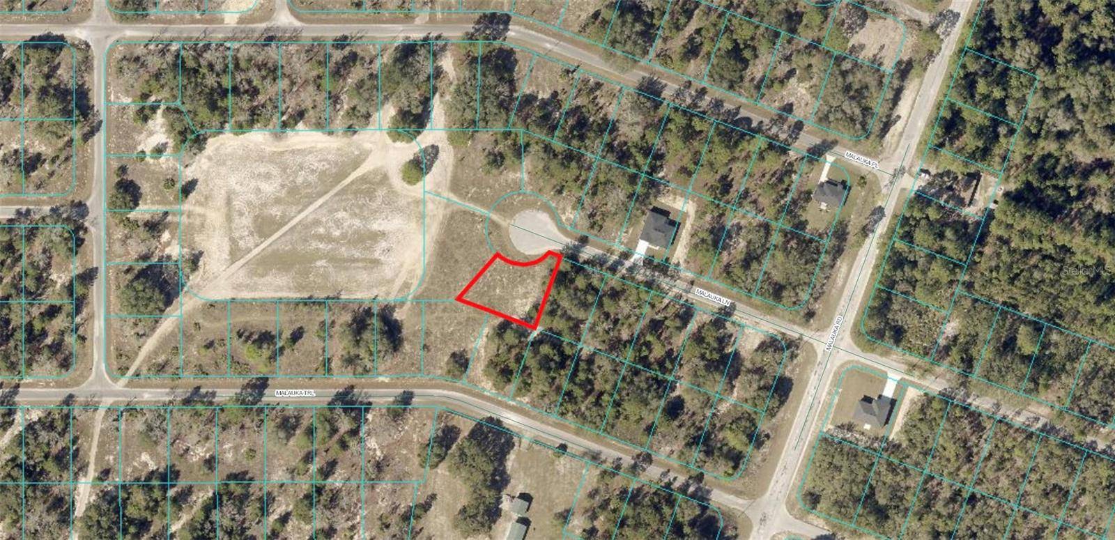 TBD MALAUKA LN, Ocklawaha, FL 32179