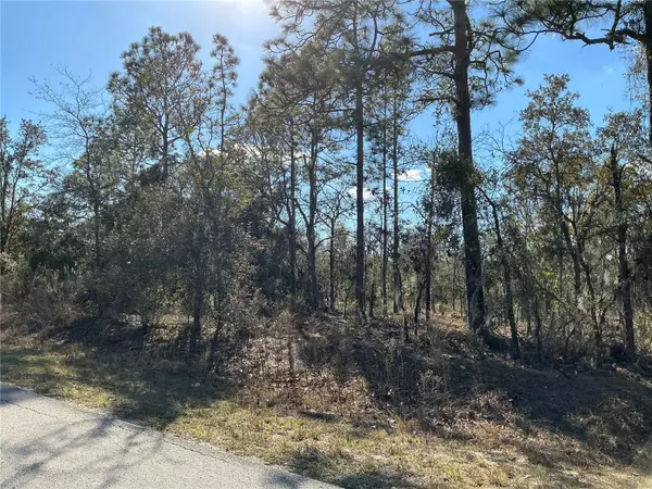 Dunnellon, FL 34431,lot 8 SW VIBURNUM RD