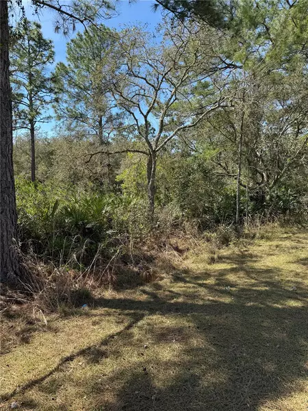 30700 KUMQUAT AVE, Eustis, FL 32736
