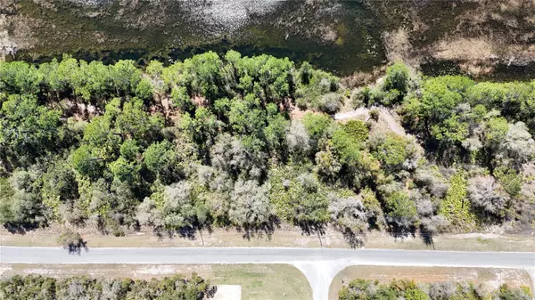 Ocklawaha, FL 32179,LOT 45 FISHER WAY