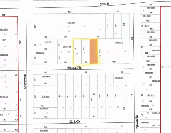 Interlachen, FL 32148,TBD CHESTNUT TRL