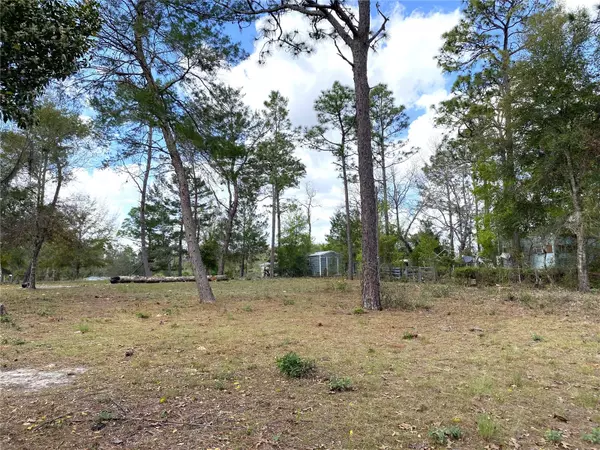 Williston, FL 32696,00 NE 142ND CT