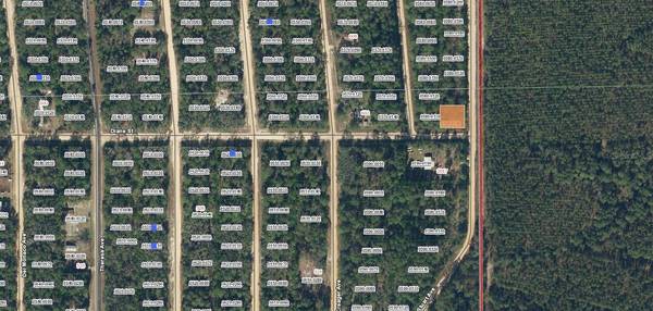 DIANE ST, Interlachen, FL 32148