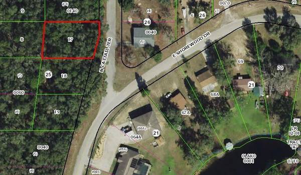 6600 N CATTAIL TER, Hernando, FL 34442