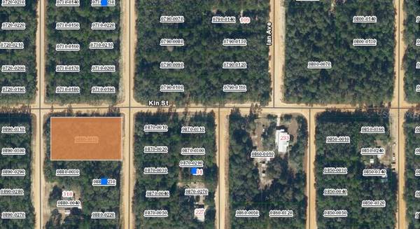 TBD THERESA AVE, Interlachen, FL 32148