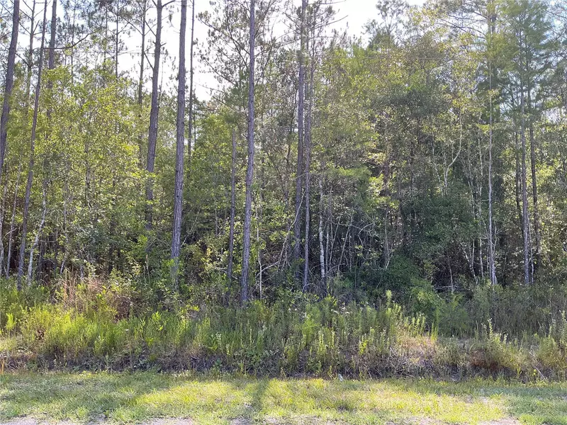 00 CROTTY AVE #1, Hastings, FL 32145