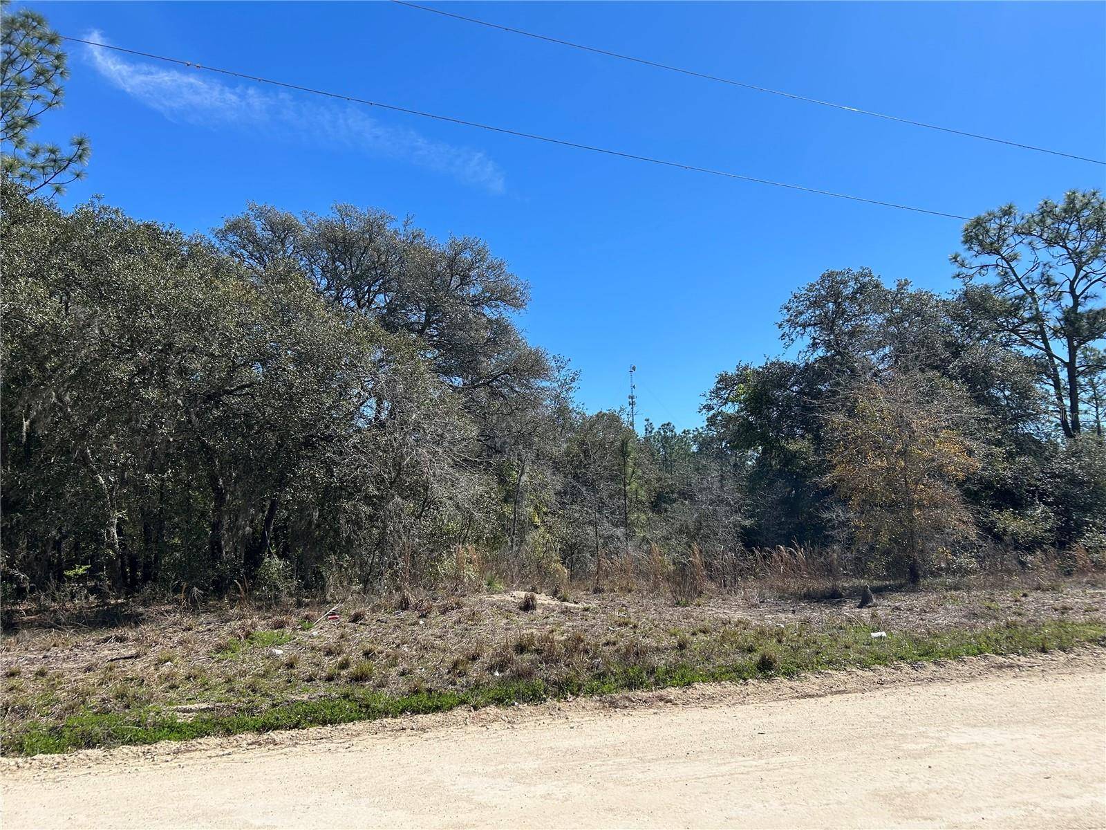 2061 SE 150TH AVE, Morriston, FL 32668