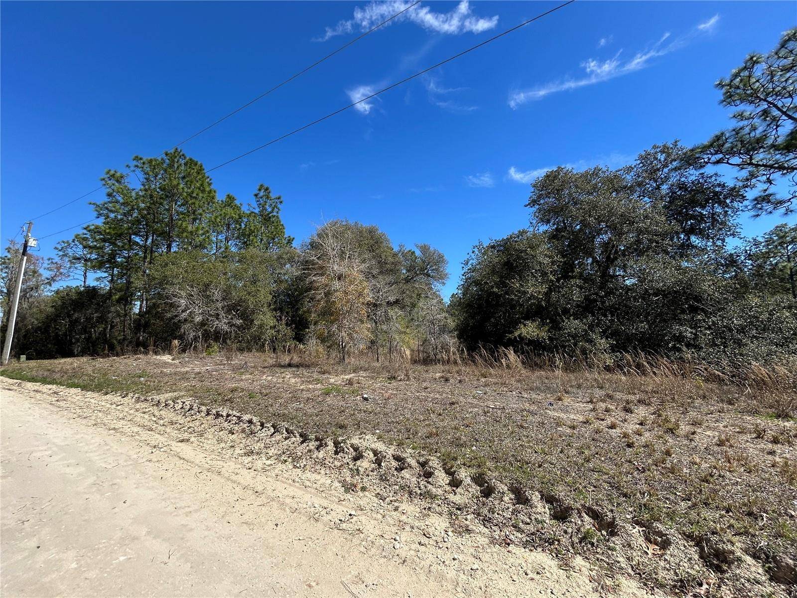 Morriston, FL 32668,2061 SE 150TH AVE
