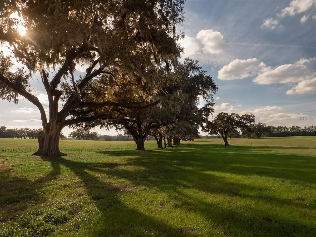 Reddick, FL 32686,12894 NW GAINESVILLE RD