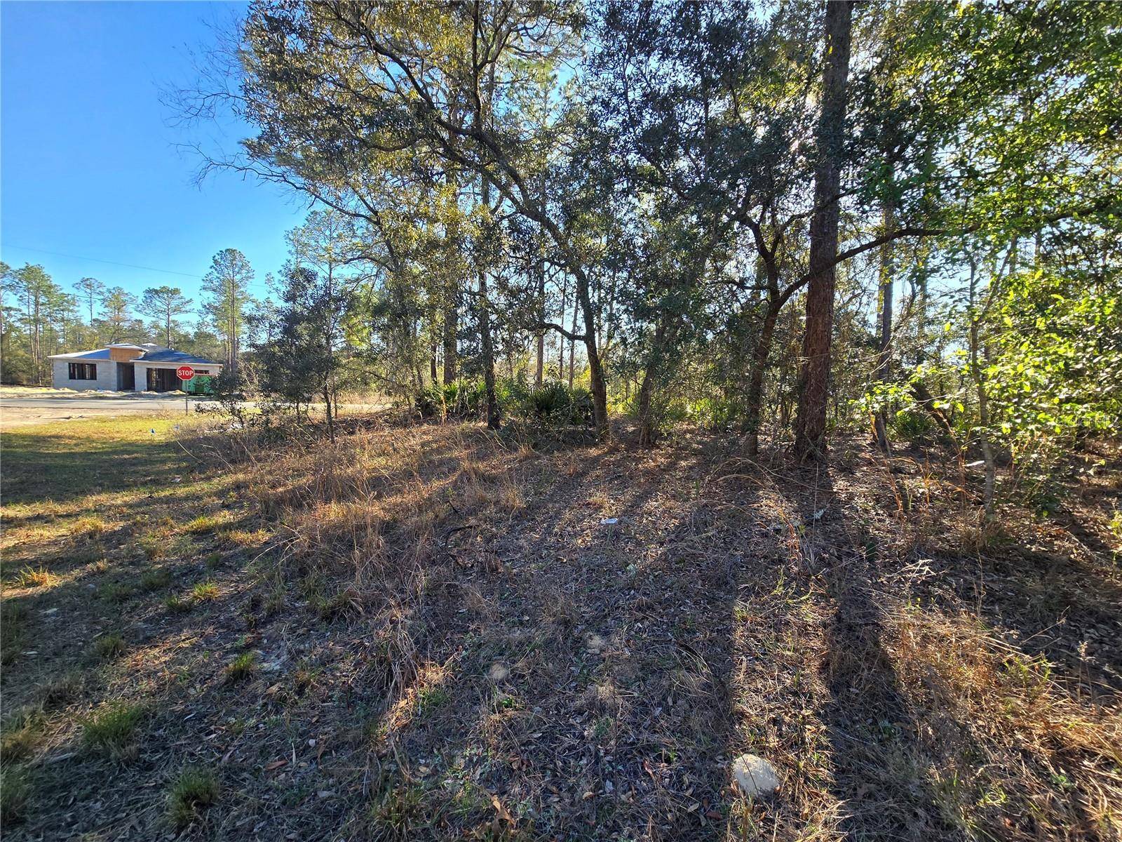 Dunnellon, FL 34433,6434 N BAYLOR TER