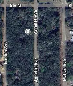 Interlachen, FL 32148,ANNETTE AVE