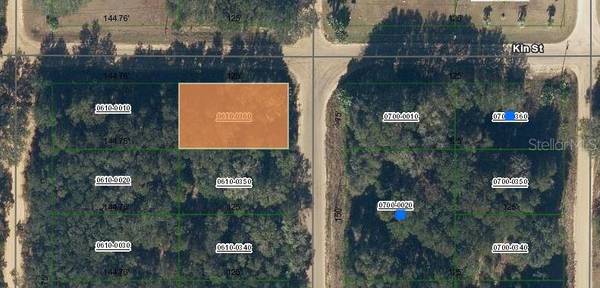 ANNETTE AVE, Interlachen, FL 32148