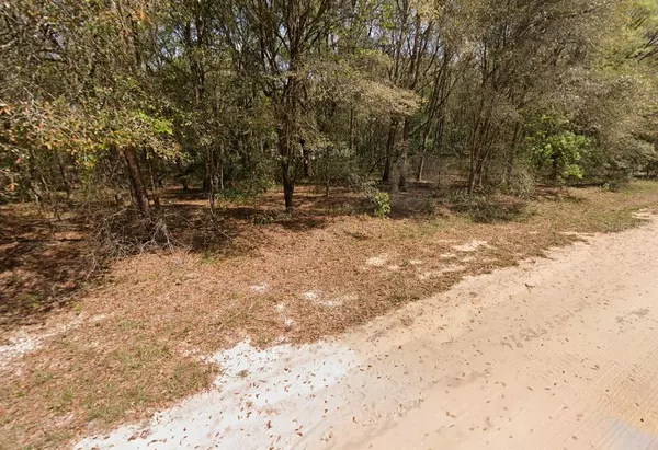 Interlachen, FL 32148,ANNETTE AVE