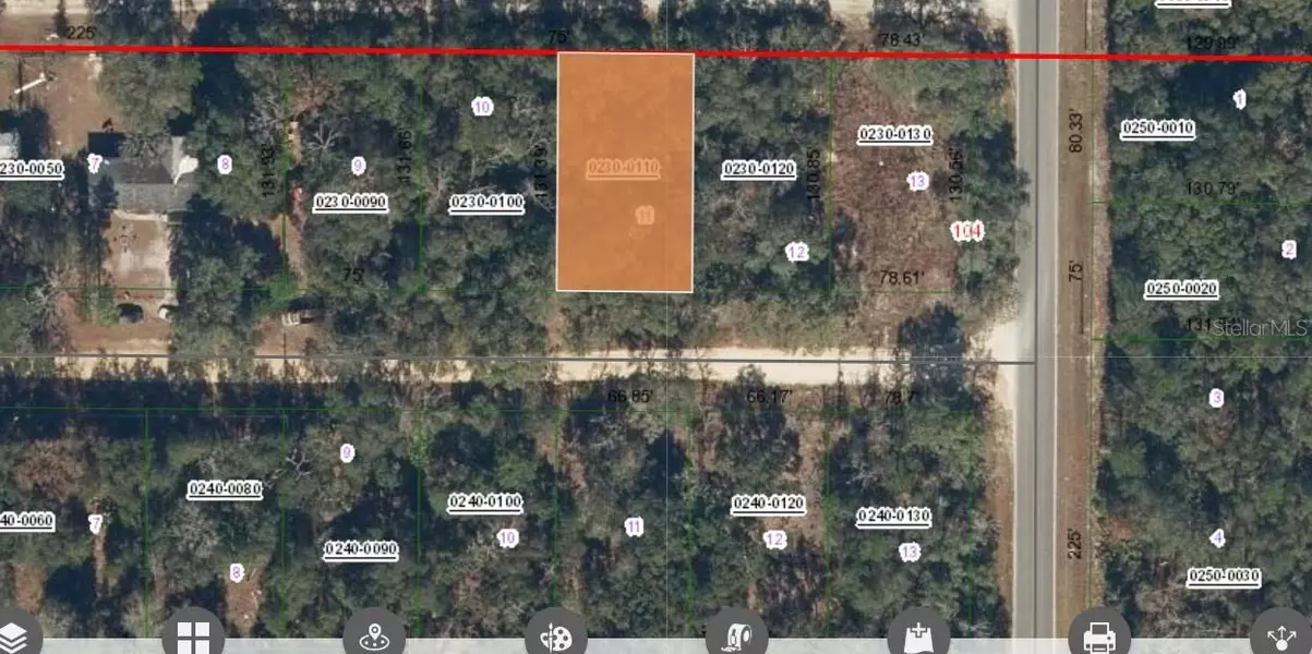 00 SADDLE TRL, Interlachen, FL 32148