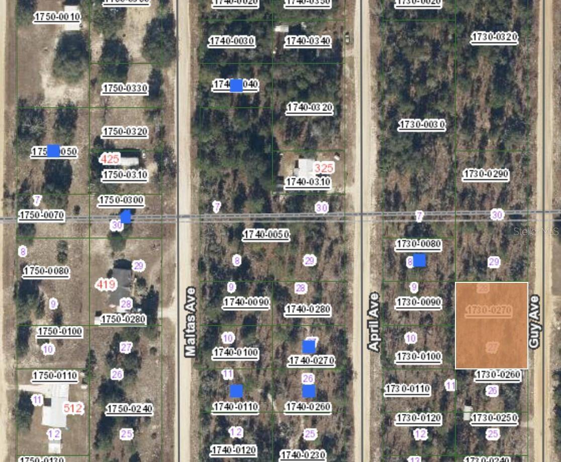 Interlachen, FL 32148,00 GUY AVE