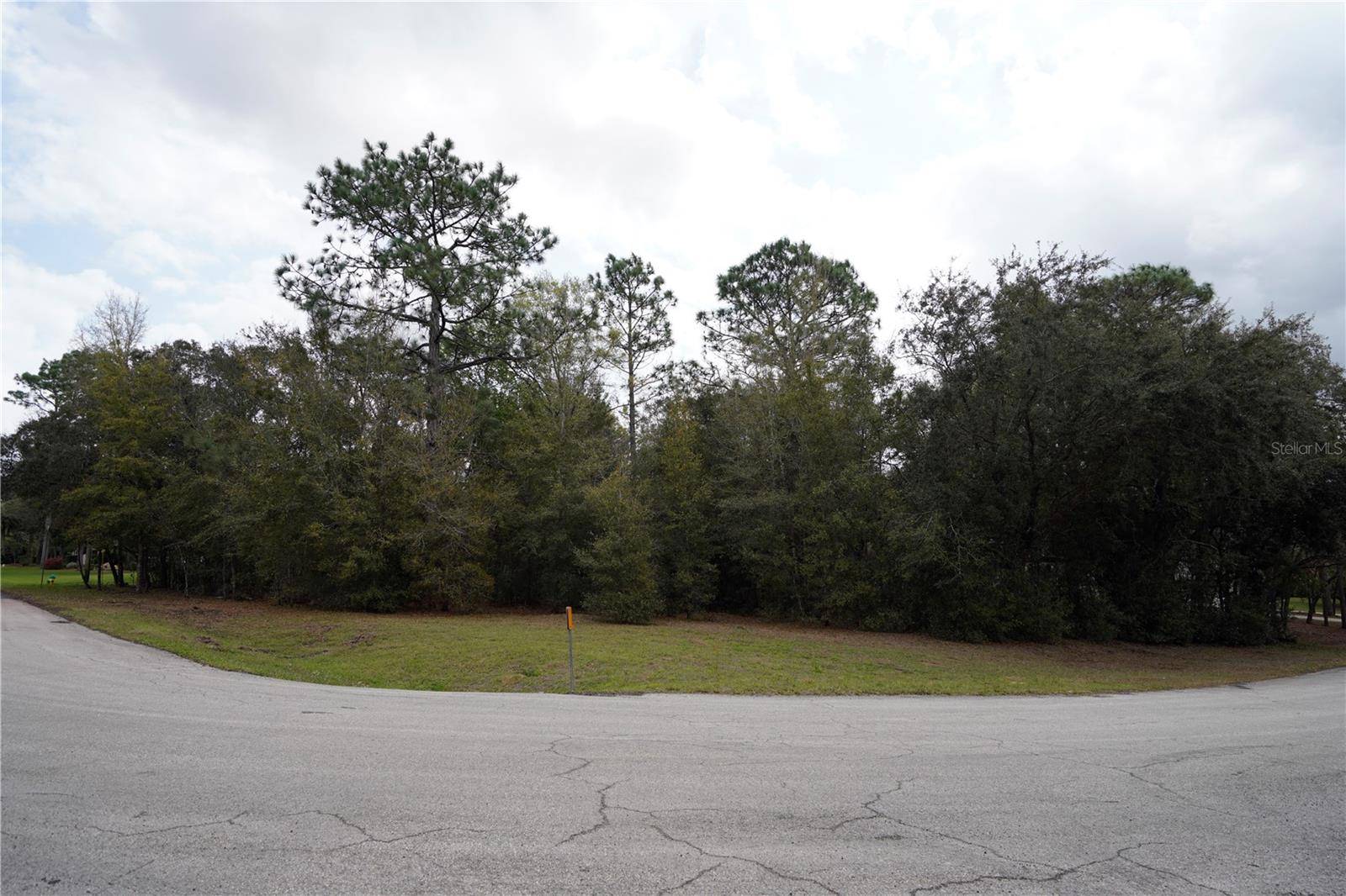 1159 N NASHUA TER, Inverness, FL 34453
