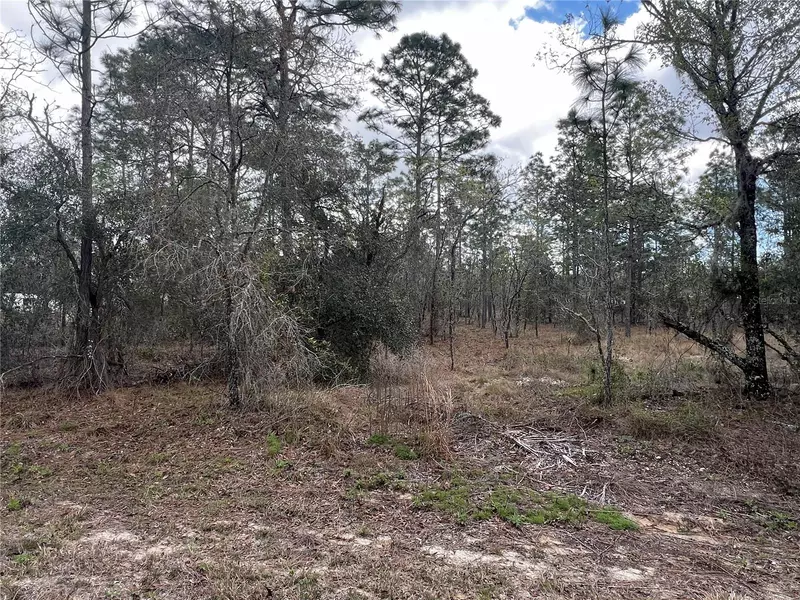 Lot 16 SE 136 TER, Dunnellon, FL 34431