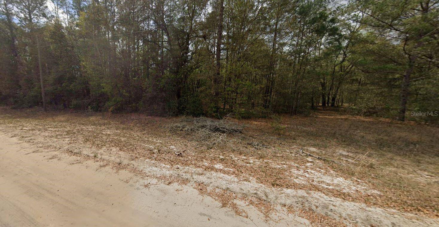 Interlachen, FL 32148,GUY AVE