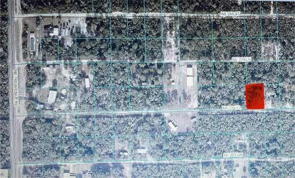 TBD NE NE 234TH PL #ROAD # 14, Fort Mc Coy, FL 32134