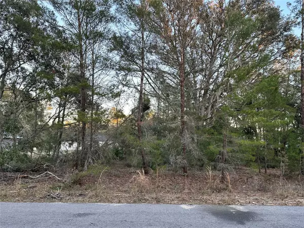 0 MALAUKA PASS CRSE,  Ocklawaha,  FL 32179