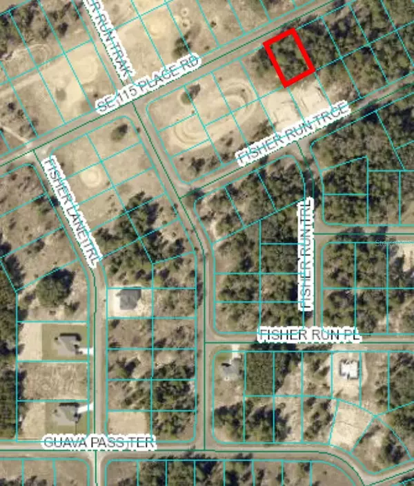 Ocklawaha, FL 32179,0 115TH PLACE RD #7